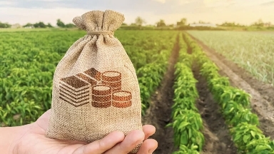 قازاقستاندا اگرارلىق سەكتوردى قولداۋ اۋقىمدى تۇردە جالعاسۋدا