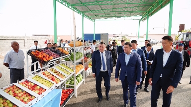 «الەۋمەتتىك باقشا»:  ساۋراندا مۇقتاج جاندارعا تەگىن ساۋدا ورىندارى بەرىلدى
