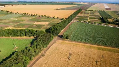 Túrkistan oblysynda 1 mln gektar jer memleketke qaıtaryldy