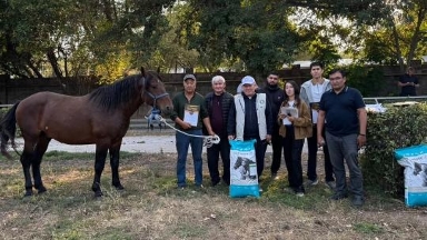 Бесқарағай жылқылары республикалық көрмеде топ жарды