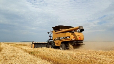 Астық қабылдайтын кәсіпорындар астық қабылдамай, тарифтерді негізсіз өсірген - БҚДА