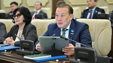 Ресейде отандық жүк көлік жүргізушілері қамалып жатыр. Депутат биліктен шара қолдануды сұрады