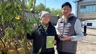Алматыда ауланы көгалдандыруға тегін көшеттер беріледі