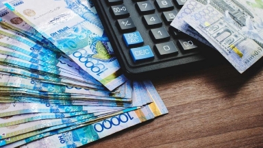 Вице-министр Қазақстанда жақсы өмір сүру үшін жалақы қанша болу керегін айта алмады
