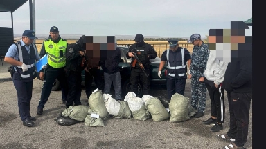 Жамбыл облысында 66 келі марихуана тәркіленді