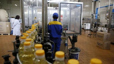 Қазақстан Орталық Азия елдерінің күнбағыс майына қажеттілігін толық қамтамасыз ете алады