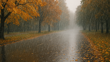 Алдағы күндері жаңбыр, қар жауады: қай аймақтарда екенін біліп алыңыз