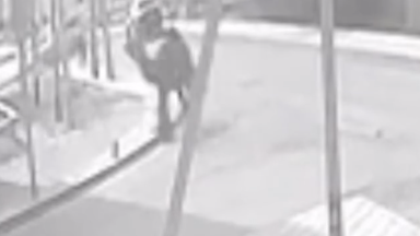 Құлсарыда көшенің қақ ортасында түйе баланы таптап кеткен