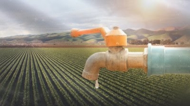 Су үнемдеу технологиялары агроөнеркәсіптің дамуына жаңа серпін берді — сарапшы