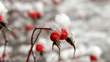Kúzdiń sońǵy aıy aıazben bastalady — Qazgıdromet boljamy