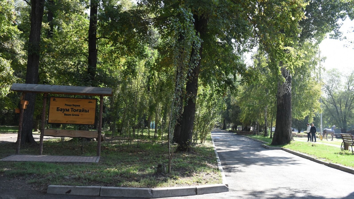 Баум тоғайында заңсыз ағаш оталғаннан кейін қауіпсіздік шаралары күшейтілді