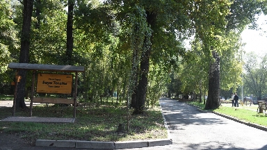 Баум тоғайында заңсыз ағаш оталғаннан кейін қауіпсіздік шаралары күшейтілді