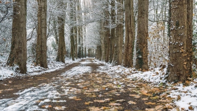 Қар, жаңбыр жауады: 5 қарашаға арналған ауа райы болжамы