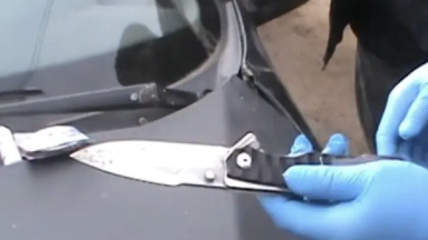 Батыс Қазақстан облысында алаяқтықпен айналысқан топ ұсталды