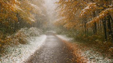 7 قاراشادا اۋا رايى قانداي بولادى؟