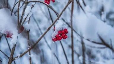 11 қараша күні ауа райы қандай болады?