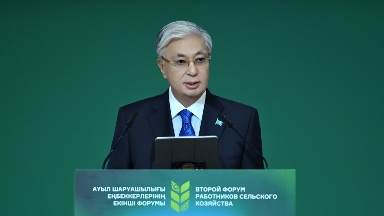 "Бірі ауылда жұмыс жоқ десе, енді бірі жұмысшы жетіспейді деп шағымданады" - Тоқаев