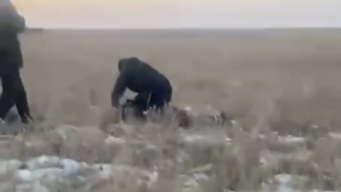 Жағаұстатар қылмыс: 14 жастағы қызды аяусыз өлтірді деген күдікті ұсталған сәттің видеосы тарады