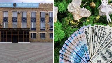 Қарағанды облысындағы мемлекеттік мекеме шырша ойыншықтарына 3,7 млн теңге жұмсамақшы