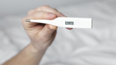 قازاقستاندا تاراپ جاتقان گونكونگ تۇماۋى جايلى نە ءبىلۋ كەرەك؟