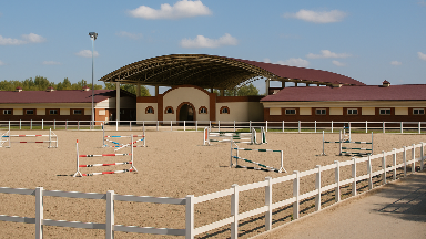 Астанада ипподром 200 мыңға сатылып кеткен: тексеріс нәтижесі белгілі болды