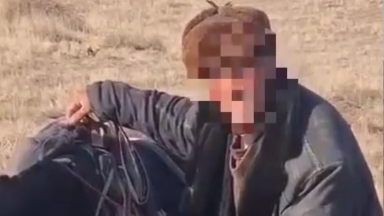 Үш күн ас-сусыз, ұйқысыз: Жамбыл облысында қойшы 700 қоймен иен далада адасып кеткен