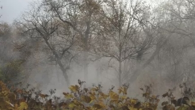 Тұман түсіп, көктайғақ болады: Қазақстанның қай өңірлерінде ауа райы құбылады