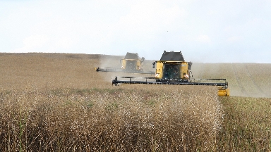 ҚТЖ VS агрофермерлер: шектеулер Қазақстан экономикасын тұралатпай ма?