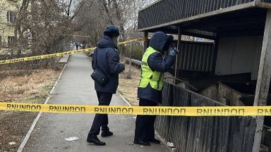 Кентауда қоқыс жәшігінен сәби өлі табылды