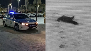 Астанада тұрғын үйлердің бірінен екі адам секіріп, қаза тапты