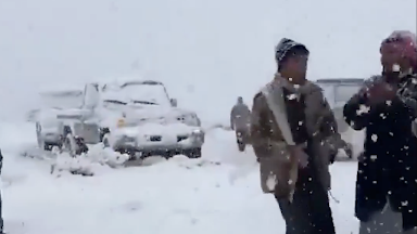 Sırek qubylys: Saýd Arabıasynda qar jaýdy