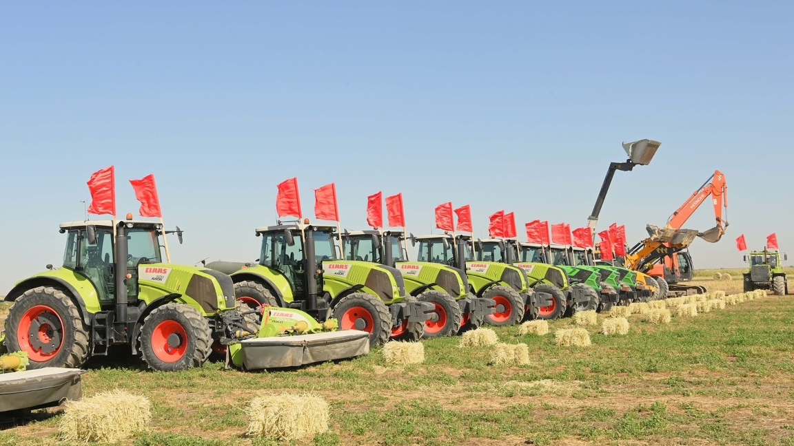 Сыр өңіріндегі егіс алқаптары әртараптандырылуда