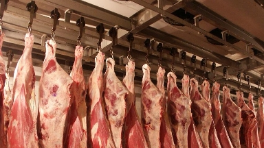 Ірі қара мал етін экспорттауға квоталар енгізіледі