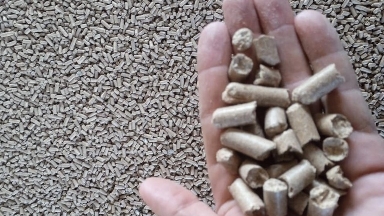 Қонаевта 88,8 млрд теңгеге үй жануарларына арналған жем зауыты салынады