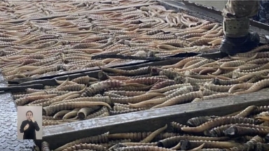 Qazaqstan men Reseı shekarasynda brakonerler ustaldy