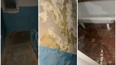 Алатауда жас дәрігерге адам шошырлық үй берілген