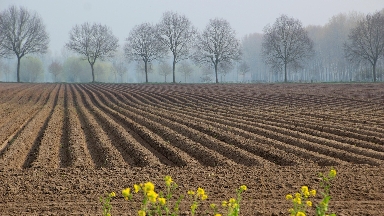 Ақмола облысында 82 млн теңгеден асатын жер учаскелері мемлекетке қайтарылды