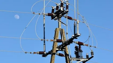 Созақта көше шамының сымына тиіп кеткен сиыр ток соғып өлді: тұрғындар дабыл қақты