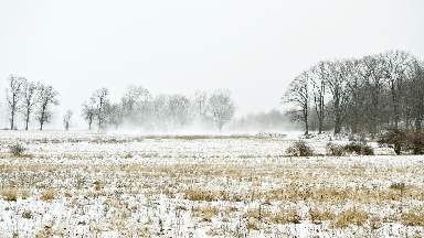 12 қаңтарда Қазақстанның басым бөлігінде қар мен боран күтіледі