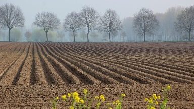 Жетісу облысында жерлер мемлекетке қайтарылды
