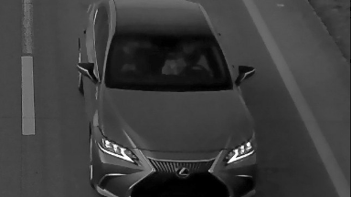 Жалған мемлекеттік нөмірмен жүрген 900-ге жуық көлік анықталды