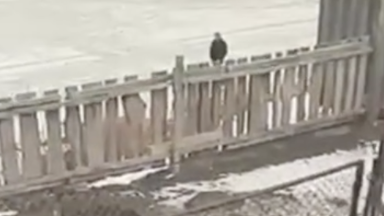 Атырауда тағы бір адам жоғалып кетті