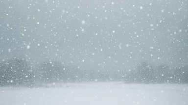 16 قاڭتاردا اۋا رايى قانداي بولادى؟