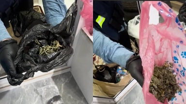 Елордада полиция тұрғынның пәтерінен ірі көлемде есірткі тәркіледі