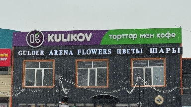 "Куликов шайқасы": тіл үшін күресте қырғыздар да ояна бастады