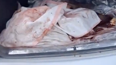 جامبىل وبلىسىندا ەكى ادام جايىلىمداعى جىلقىنى اتىپ العان