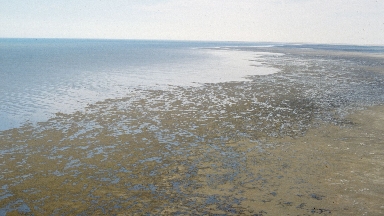 Мемлекет басшысы Арал мәселесінің жаһандық маңызын атап өтті