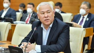 Депутат «зорлауды» аса ауыр қылмысқа теңеуді ұсынды