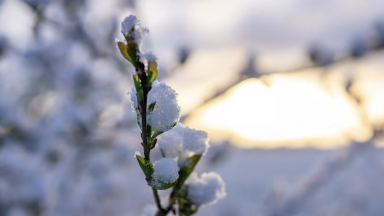 Aqpanda qansha kún demalamyz?