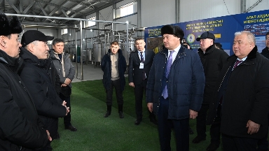 قىزىلوردا وبلىسىندا قۇنى 3 ملرد تەڭگەگە Qazaq camel زاۋىتى سالىنعان